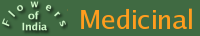 Medicinal Plants
